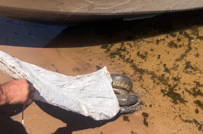 PM Ambiental flagra duas ocorr�ncias, no Rio Tiet�, em Borborema