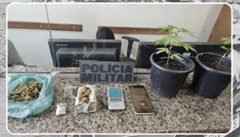 ibitinga-homem-e-preso-apos-denuncia-de-pes-de-maconha
