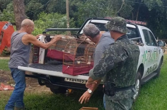 Pol�cia Ambiental aplica R$ 7,5 mil em multas e apreende 15 aves