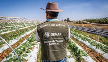 assistencia-tecnica-e-gerencial-fortalece-gestao-e-produtividade