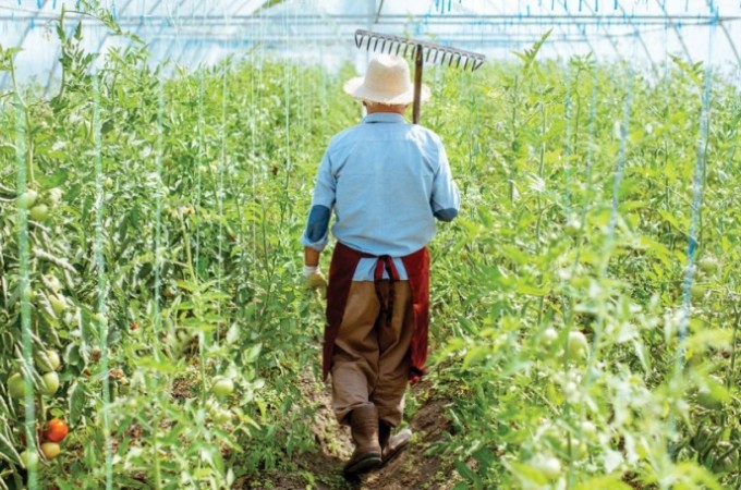 Cr�dito Rural: Desembolsos recuam 8,7% no 1� semestre 2025 / 2026
