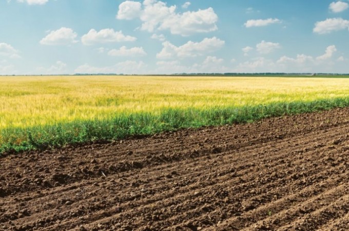 Agropecu�ria paulista registrou retra��o no mercado de trabalho 