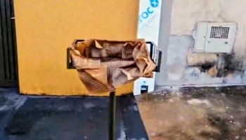 guariba-menina-recem-nascida-foi-encontrada-em-lixeira