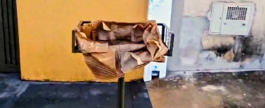 guariba-menina-recem-nascida-foi-encontrada-em-lixeira