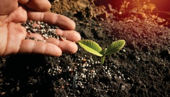 reducao-global-na-oferta-de-fertilizantes-e-precos-mais-altos-de-com