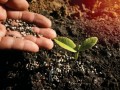 Redu��o global na oferta de fertilizantes e pre�os mais altos de com