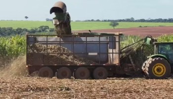 safra-de-cana-comeca-mais-cedo-e-com-expectativa-de-alta-na-producao