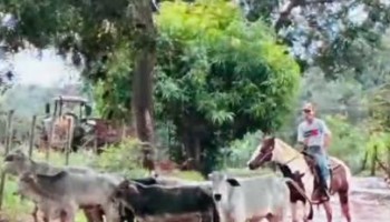 policia-civil-prendeu-em-ibitinga-e-borborema-6-envolvidos-em-furto