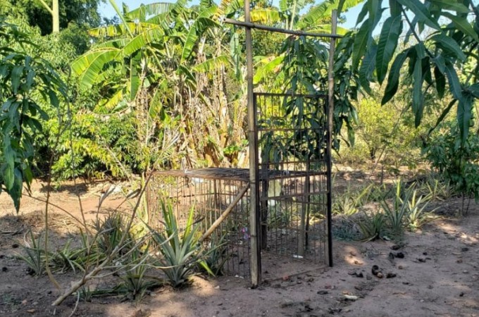 PM Ambiental de Brotas multa ca�ador em R$ 125 mil