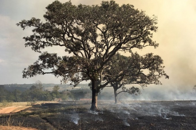 Inc�ndio atinge fazenda e reserva de mata nativa na regi�o de Bauru
