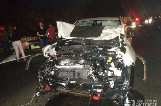 Carro fica com a frente destru�da ap�s atropelar vacas na SP-318
