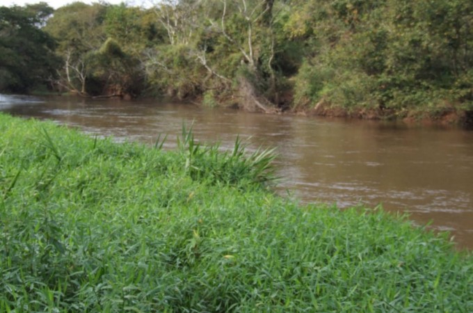 Corpo de desaparecido � encontrado no Rio Tiet�