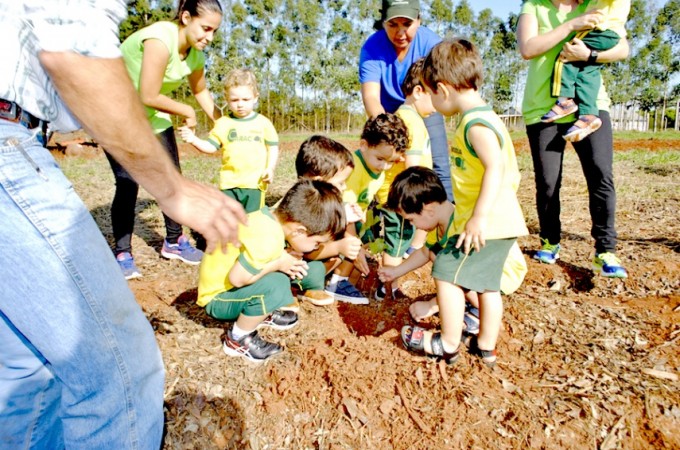 Alunos do Flapi realizaram plantio de rvores