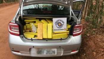homem-e-preso-com-cerca-de-300-quilos-de-maconha-em-rodovia