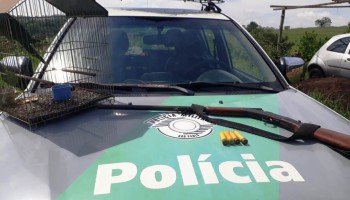 pm-ambiental-apreende-arma-e-passaro-silvestre-mantido-em-gaiola