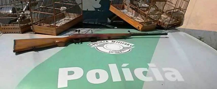 pm-ambiental-localiza-arma-e-passaros-silvestres-em-itapui