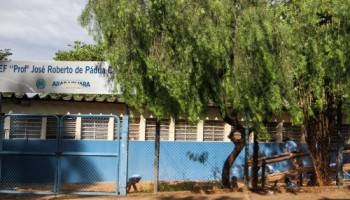 escorpiao-pica-crianca-dentro-da-sala-de-aula-em-araraquara