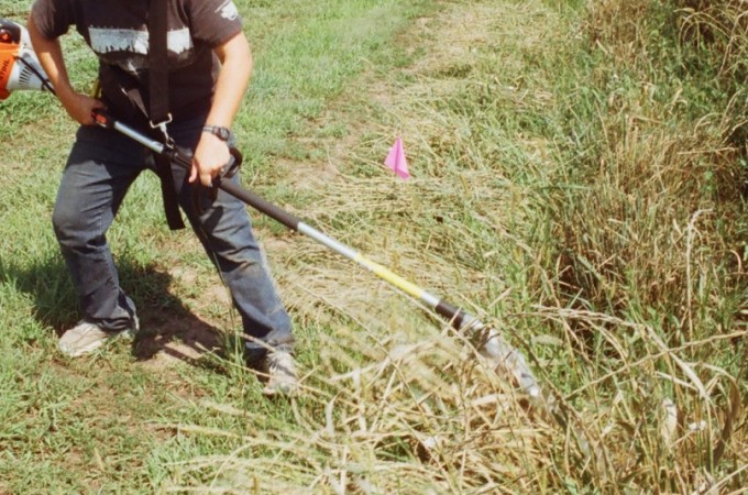 Fiscalizao sobre terrenos no capinados foi intensificada