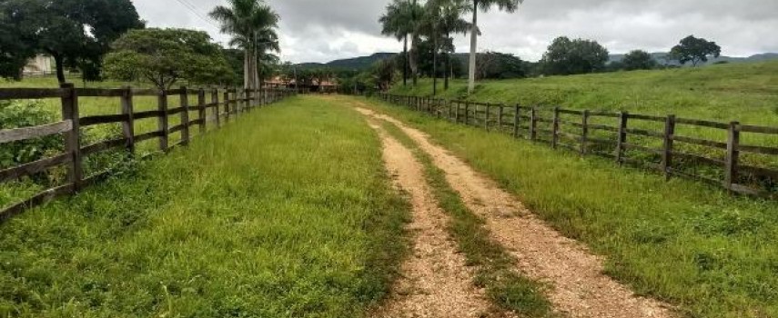 homem-e-baleado-em-assalto-a-fazenda-em-taquaritinga