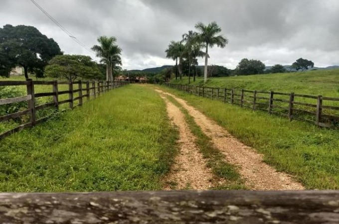 Homem  baleado em assalto a fazenda em Taquaritinga 