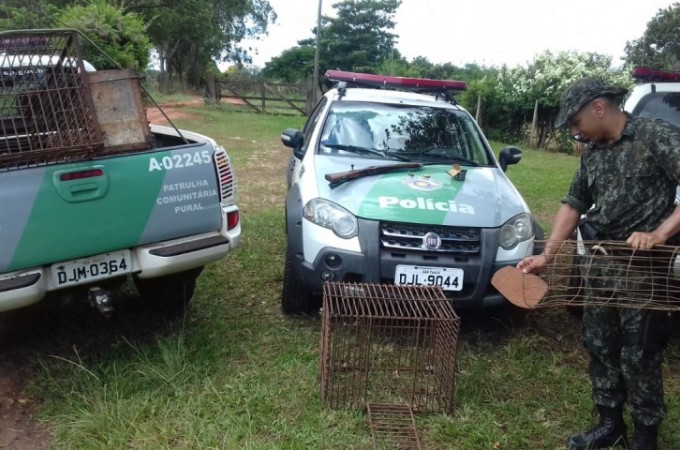 PM Ambiental localiza espingarda, muni��es e armadilhas em Arealva