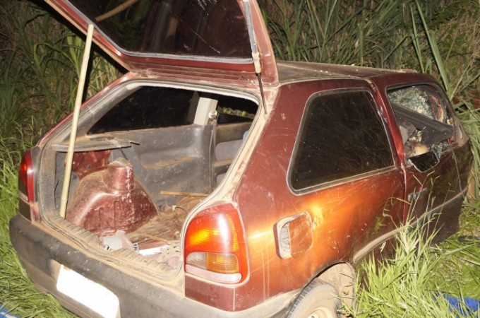 Aposentado morre em rodovia depois de atropelar cadela