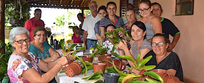 sindicato-rural-promoveu-curso-de-orquideas