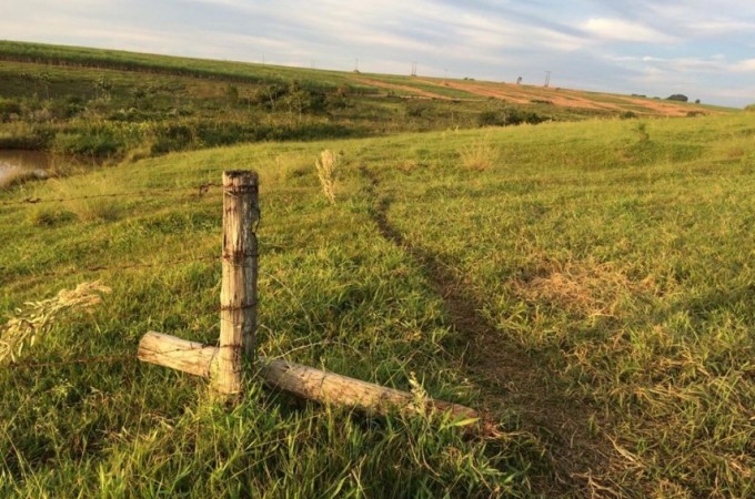 Ladres furtam 68 cabeas de gado em fazenda de Piraju
