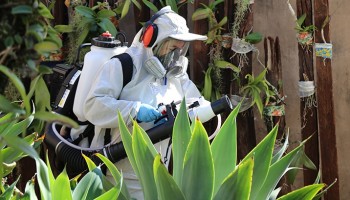 ibitingaprefeitura-amplia-as-acoes-de-combate-ao-mosquito-da-dengue