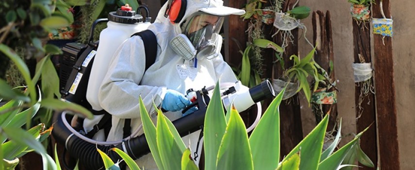 ibitingaprefeitura-amplia-as-acoes-de-combate-ao-mosquito-da-dengue