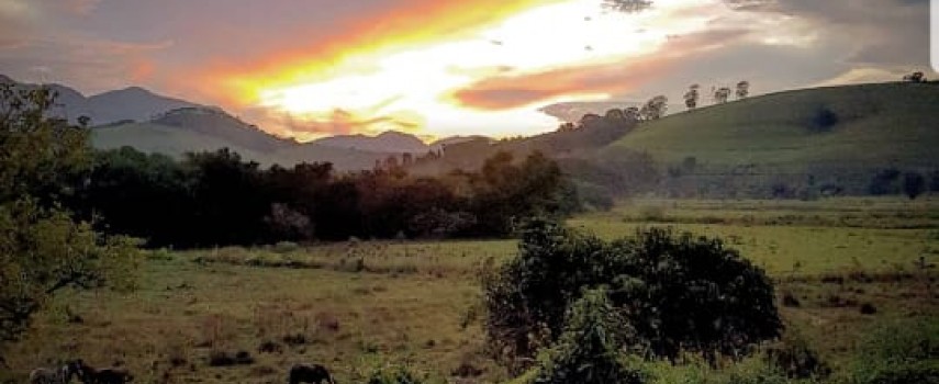ibitinguenses-percorreram-mais-de-700-km-ate-aparecida