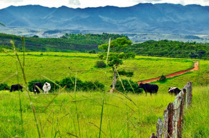Fam�lia � feita ref�m em assalto na zona rural de It�polis