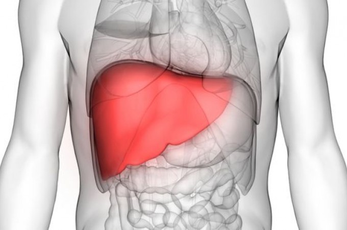 Campanha contra Hepatite segue at� o dia 27