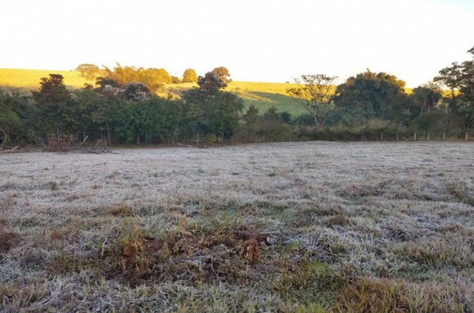 Ibitinga: frio intenso marca temperatura negativa