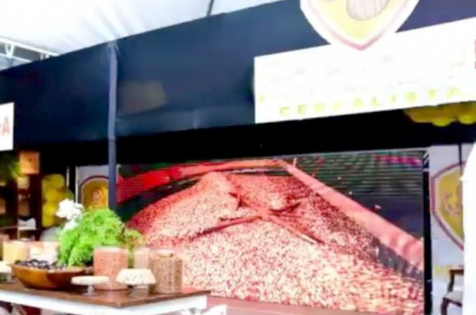 Borborema: Feira do Amendoim promove exposies e atraes culturais