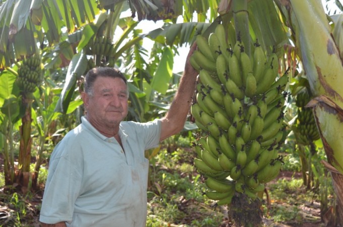 Produtores rurais investem em tecnologia no campo