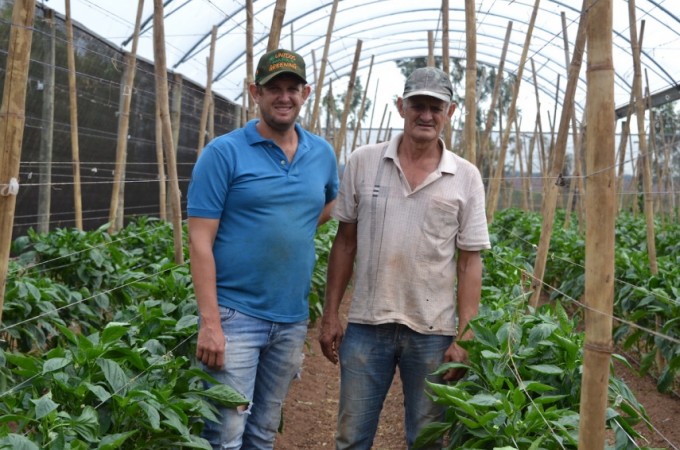 Famlia investe em diversificao de culturas a agricultura familiar