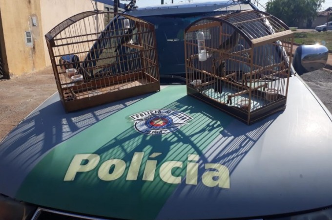 PM Ambiental aplica R$ 100 mil em multas e apreende 67 animais