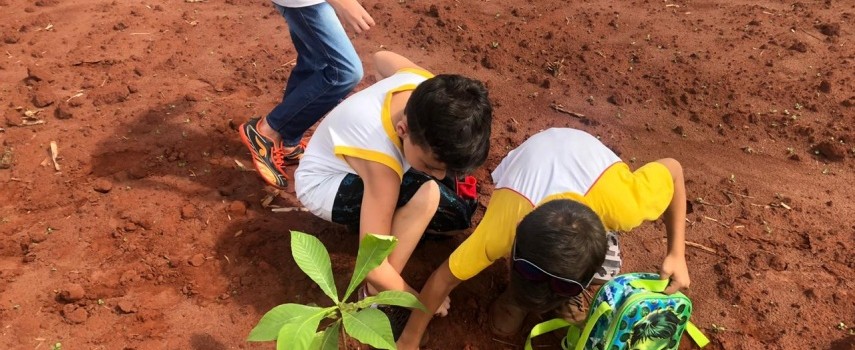 projeto-de-educacao-ambiental-leva-alunos-para-plantio-de-arvores-na