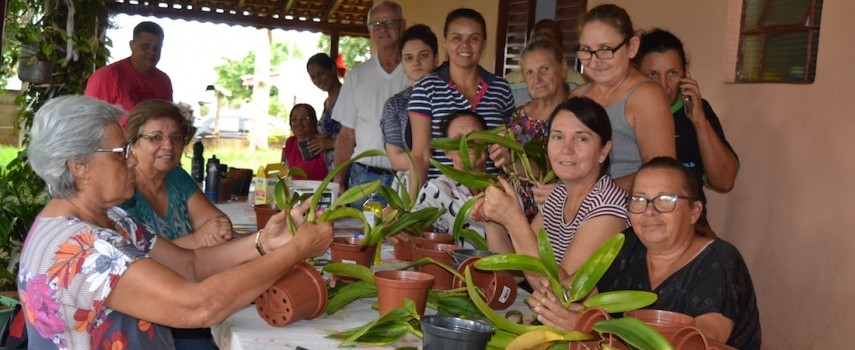 sindicato-rural-promoveu-47-cursos-gratuitos-em-2019