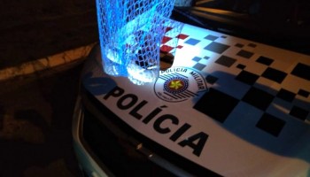 jararaca-e-capturada-em-varanda-de-casa-em-iacanga