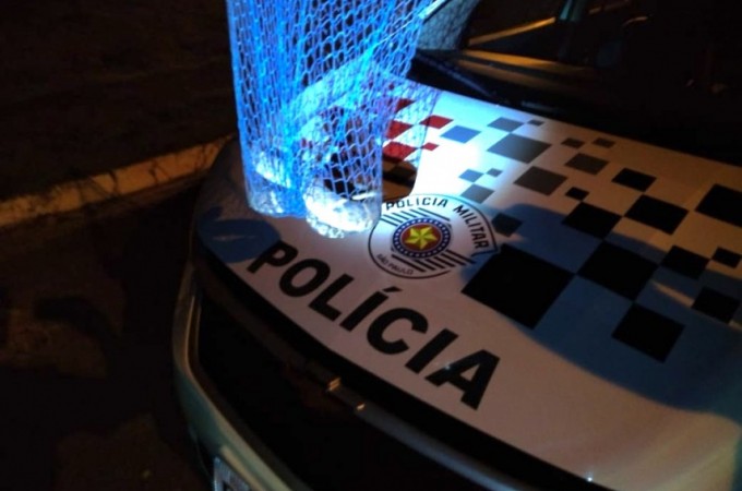 Jararaca  capturada em varanda de casa em Iacanga