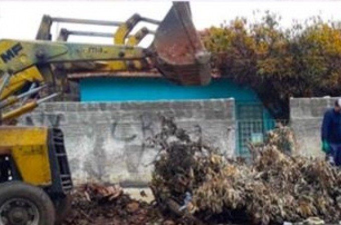 Mutiro da Limpeza percorreu 25 bairros