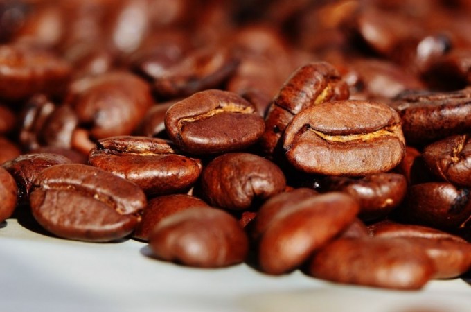 Produtores devem redobrar cuidados para a colheita do caf 