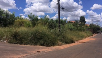prefeitura-notifica-donos-de-terrenos-sem-limpeza-multa-e-de-rs-938