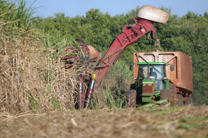 Usina testa funcionrios em massa e 15 do positivo para Covid-19 
