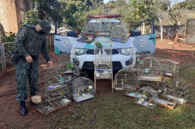Mulher � multada em R$ 22 mil por manter p�ssaros em cativeiro 