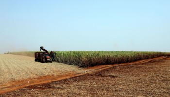 governo-estima-safra-recorde-de-2474-milhoes-de-toneladas