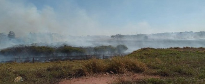 incendio-de-vegetacao-atingiu-reserva-nativa-em-ibitinga