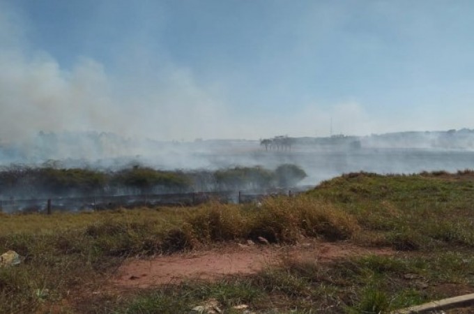 Inc�ndio de vegeta��o atingiu reserva nativa em Ibitinga